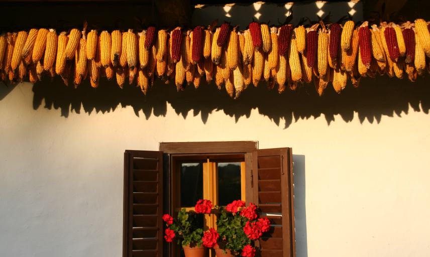 Kemencei Ilona